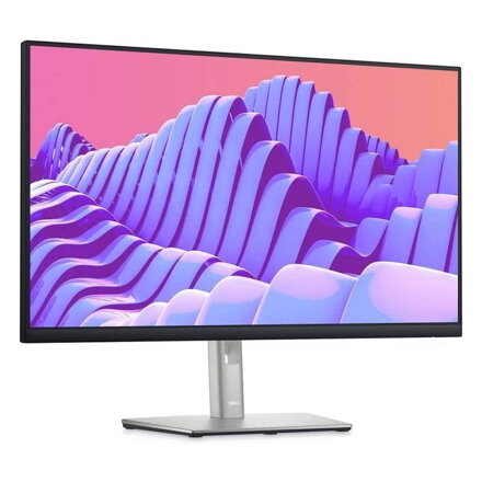 Dell Professional P2422H - B