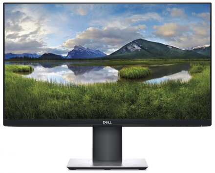 Dell P2319H 23" - C